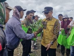 Di Bawah Kepemimpinan Prof Zudan, 6,5 Juta Bibit Kopi, Kakao, Kelapa, Durian, Sukun, Alpukat Ditanam di Sulsel Bangkitkan Hortikultura Unggul