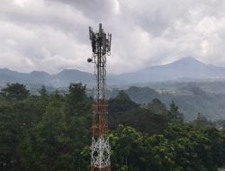 Smartfren Tingkatkan Kapasitas Jaringan, Antisipasi Peningkatan Akses Internet di Malam Natal 2024 dan Tahun Baru 2025