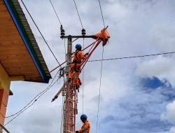 Jaga Keandalan Pasokan Listrik, PLN UP3 Palopo Kembali Laksanakan Pemeliharaan Jaringan