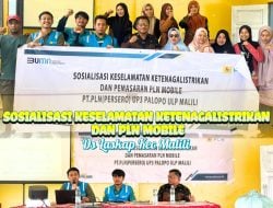 PLN ULP Malili Sosialisasikan Keselamatan Ketenagalistrikan dan PLN Mobile di Kantor Desa Laskap Kecamatan Malili Luwu Timur