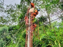 PLN UP3 Palopo Lakukan Pemeliharaan Jaringan Kelistrikan di Wilayah Toraja