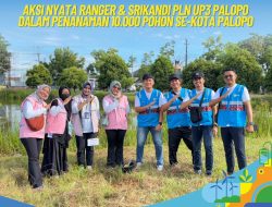 Aksi Nyata Ranger dan Srikandi PLN UP3 Palopo dalam Gerakan Sedekah 10.000 Pohon Se-Kota Palopo