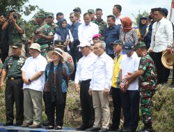 Mentan Amran: Serap Gabah Bermasalah, Swasembada Pangan Terancam