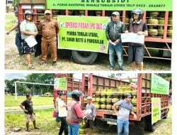 Gas Melon Tiga Kilogram Langka, Disperindag dan Pangkalan Gelar Operasi Pasar