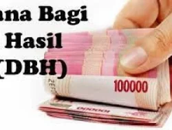 Dana Bagi Hasil Rp1,9 Triliun dari Pemprov Sulsel Belum Dibagi, Ternyata Ini Penyebabnya