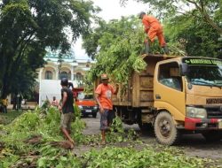 DLH Palopo Segera Fungsikan 5 Armada Truk  Sampah