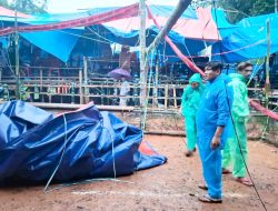 Jelang Perayaan Paskah, Polres Toraja Utara Bongkar Arena Judi Sabung Ayam di Tallunglipu