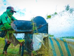 Panen Meningkat, Petani Nilai Kemudahan Pupuk Jadi Faktor Kunci