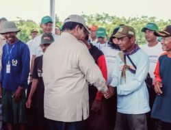 Bantuan 1000 Ekor Burung Hantu dari Prabowo Dukung Teknologi Irigasi Padi Hemat Air