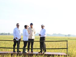 Duet Kompak Mentan Amran dan Wamentan Sudaryono, Ujung Tombak Capai Swasembada Pangan