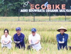 Wadirut Bulog Panen Raya Agro Eduwisata Organik Mulyaharja Bareng Sejumlah Wakil Menteri