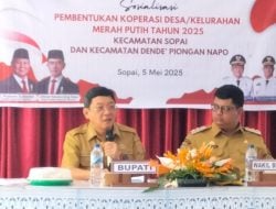 Bupati Toraja Utara Akan Lanjutkan Pekerjaan Jalan Poros Alang-alang-Salu