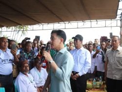 Mentan Amran Dampingi Wapres Gibran di NTT, Komitmen All Out Majukan Petani