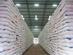 Data BPS, USDA, dan Bulog: Produksi dan Stok Beras Naik Ekstrem – Data Tempo dari Mafia Beras?