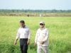 Mentan: Terima Kasih Kepada Petani Dan Seluruh Stakeholders Atas Capaian Spektakuler 4 Juta Ton Cadangan Beras