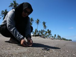 “Lima Putra Pesisir”, Penjaga Reptil Purba dari Pantai Lowita