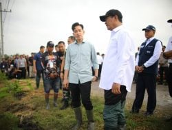 Wapres Gibran dan Mentan Amran Kompak Tanam Padi di Ngawi, Dorong Produksi dan Dukung Kebutuhan Petani