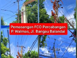 PLN Tingkatkan Keandalan Jaringan, Pasang FCO Percabangan di Penyulang Walmas Tanpa Padamkan Listrik