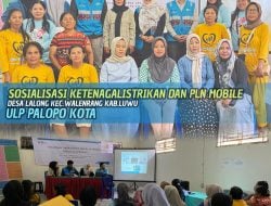 PLN ULP Palopo Kota Sosialisasikan Keselamatan Ketenagalistrikan, dan PLN Mobile di Kantor Desa Lalong , Kecamatan Walenrang Luwu