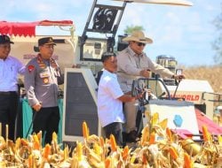 Didampingi Mentan Amran, Presiden Prabowo Pimpin Panen Raya Jagung Di Kalbar