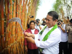 Mentan Amran Beberkan 6 Strategi Kunci Capai Swasembada Gula Nasional