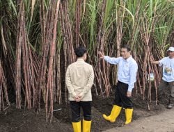 Mentan Tegaskan Komitmen Pemerintah untuk Petani Tebu di Hadapan Wapres