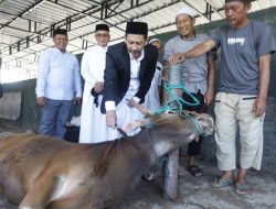 Usai Salat Id,  Pj Wali Kota Firmanza Berkurban di Masjid Agung Palopo