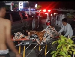 Penumpang Bus Borlindo dari Morowali Melahirkan di Toilet SPBU Binturu, Palopo
