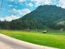 Lanjutan Pekerjaan Jalan Poros Alang-alang, Salu-Dende’, Telan Anggaran Rp 5 Miliar, Ini Kata Kadis PUPR Toraja Utara