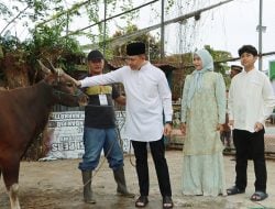 Polres Potong Delapan Ekor Sapi