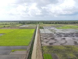 Mentan Andi Amran Sulaiman Tegaskan Percepatan Cetak Sawah dan Optimasi Lahan untuk Wujudkan Swasembada Pangan