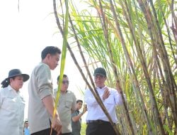 Wapres Gibran dan Mentan Amran Dorong Akselerasi Swasembada Gula dari Yogyakarta