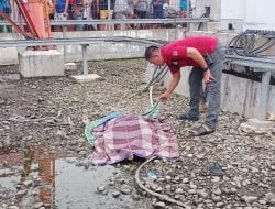 Pria yang Ditemukan Tewas di Bawah Tower Pepabri Warga Batu Walenrang