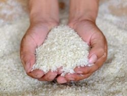 Beras Food Station Cipinang Diperiksa di 5 Laboratorium Berbeda: Tidak Sesuai Standar Mutu dan Dijual di Atas HET