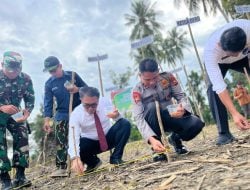 Tanam Jagung Serentak, Dukung Ketahanan Pangan Nasional