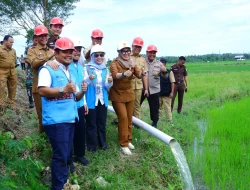 Program Electrifying Agricultre, PLN UID Sulselrabar Bantu Petani Barru Hemat Operasional