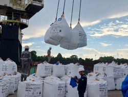 Anggota Minta Audit Koperasi TKBM Pelabuhan Malili