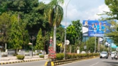 Pohon Natal
